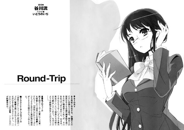 File:RoundTrip.jpg