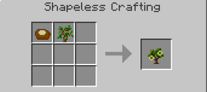 Chestnut Sapling 1.7.10