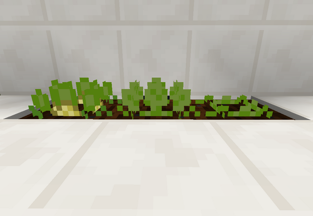 File:Cantaloupe.png