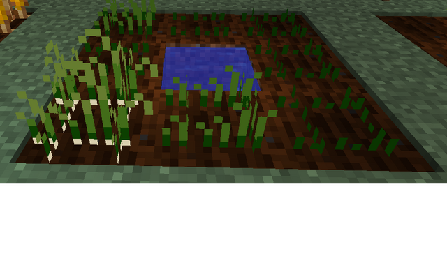 File:Garlicgrowth.png