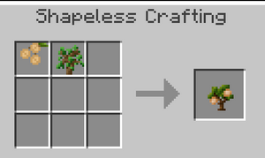 Walnut Sapling 1.7.10