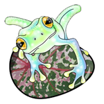 Frogglasshatched