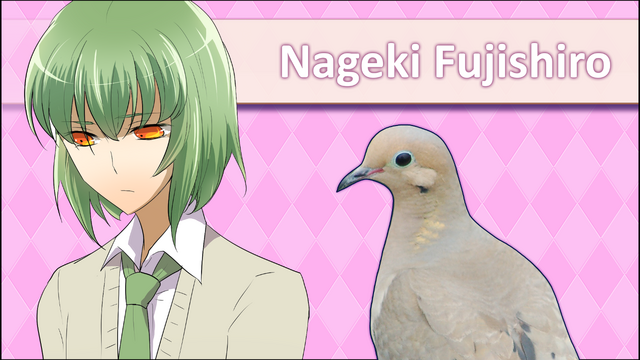 File:NagekiFujishiroRemakeICPSS.png