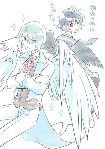 File:MoaScrapRyoutaAndSakuyaGijinkaWithWings.jpg