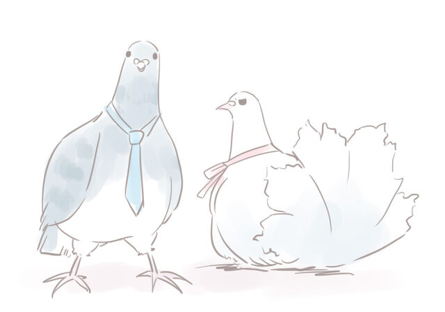File:MoaScrapRyoutaAndSakuyaBirds.jpg