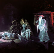 VP733 - Old Friends with Grave Problems