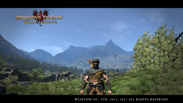 Datei:Wikia-Visualization-Add-2,dedragonsdogma.png