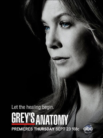 Datei:Greys-Anatomy poster.jpg