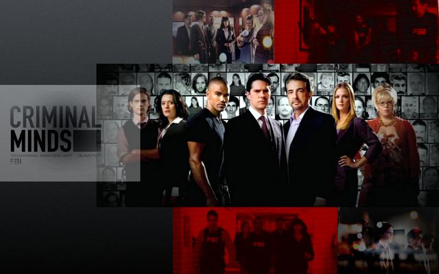 Datei:Wikia-Visualization-Add-1,decriminalminds995.png