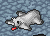 Skin sheep