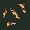 Cat Gold.png