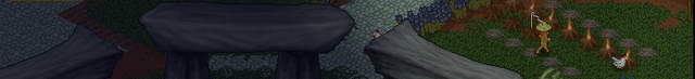 File:Newbie life.png
