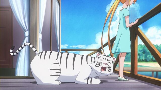 File:-SS-Eclipse- Hayate no Gotoku - 2nd Season - 00 (1280x720 h264) -4279D4B4-.mkv 000720011.jpg