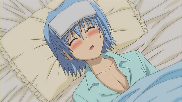 File:-SS-Eclipse- Hayate no Gotoku! - 06 (1280x720 h264) -3F717C30-.mkv 000476410.jpg