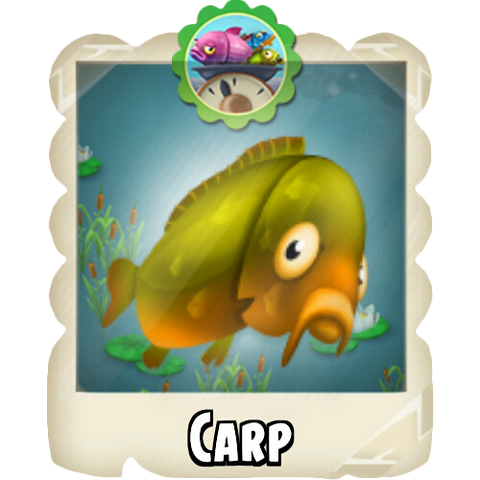 File:Carp Photo.png