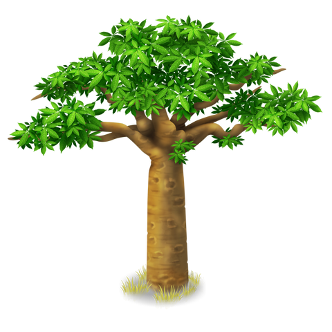 File:Baobab Tree.png