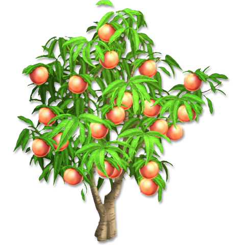 File:Peach Tree.png