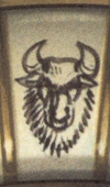 Bull