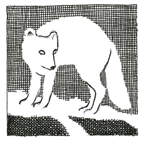 File:Amber Spyglass chapter 3 Artic Fox.jpg