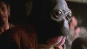 Ponda Baba