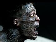 Teen Wolf 2x06 004