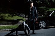 Teen Wolf 2x09 008