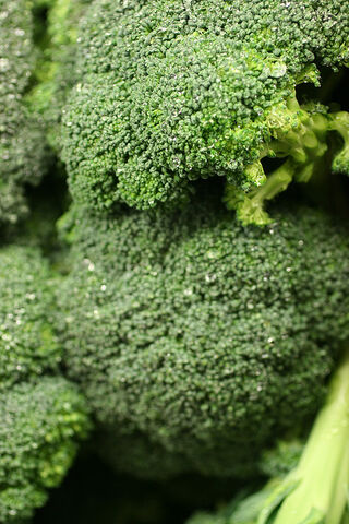 File:Broccoli.jpg