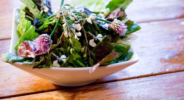 File:Food-2.jpg
