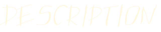 File:Hoodiidescription.png