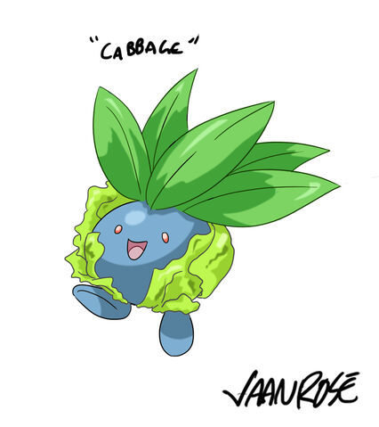 File:Vaanrose-cabbage.jpg