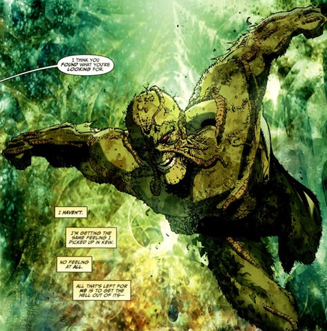 File:TSFST swampy.jpg