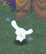 File:HKO NPC Cinnamon70.jpg