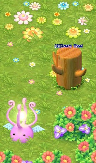 HKO South Dream Forest screen01