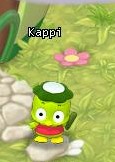 HKO NPC Kappi53