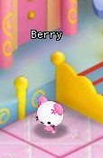 HKO NPC Berry72