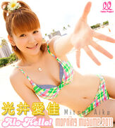 Upfmitsu 01113