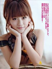 Hayashi2012
