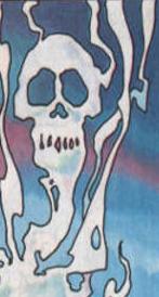 Spiritofgrayskull