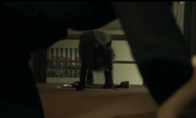 Screen Shot 2015-01-19 at 8.43.35 PM