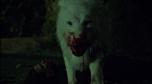hemlock grove peter wikia