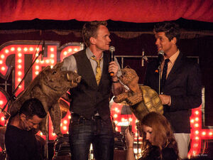 David Burtka
