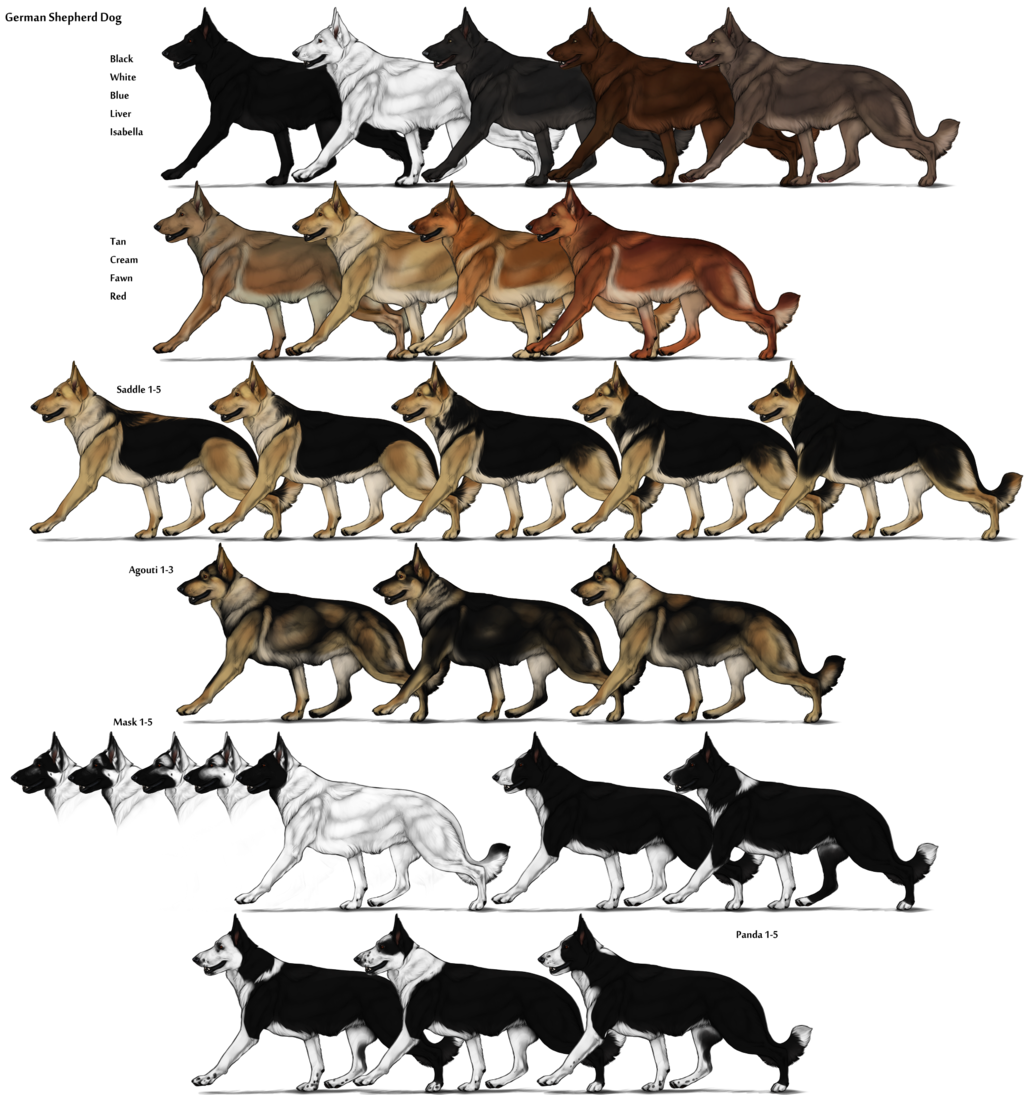 German Shepherd Herding Dog Farms Game Wikia FANDOM powered by Wikia