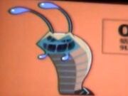 Slugs
