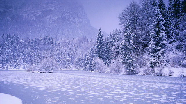 File:Winter-landscape.jpg