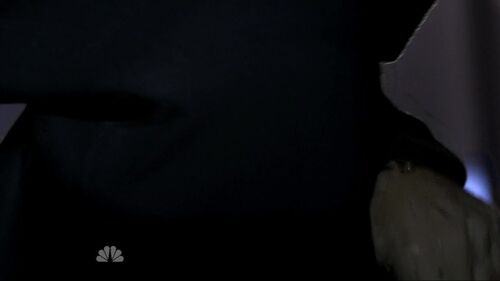 Hooded tracy 9