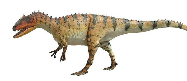 File:Allosaurus0.jpg
