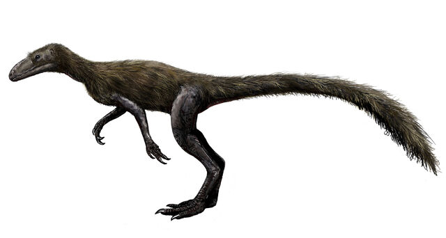 File:Marasuchus.jpg