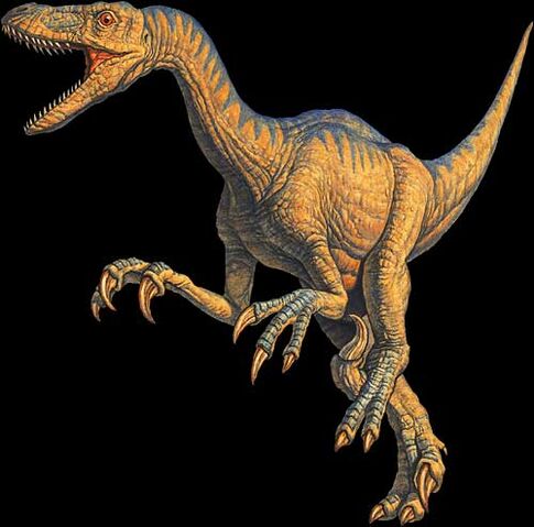 File:Velociraptor.jpg