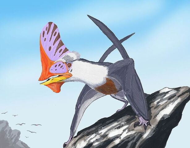 File:Tupandactylus.jpg