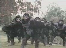 TENGAWARRIORS31